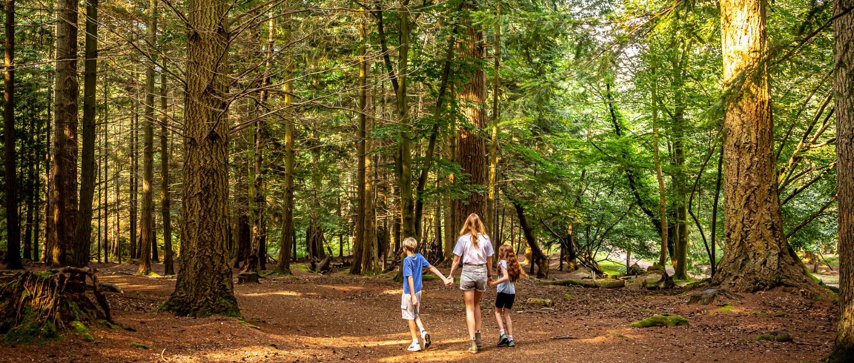 A family of three walk towards the Tall Trees Trail in the New Forest in autumn